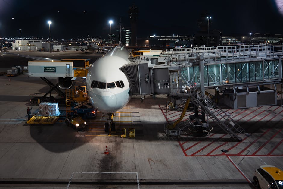 Pracownicy lotniska ładujący towary do samolotu cargo